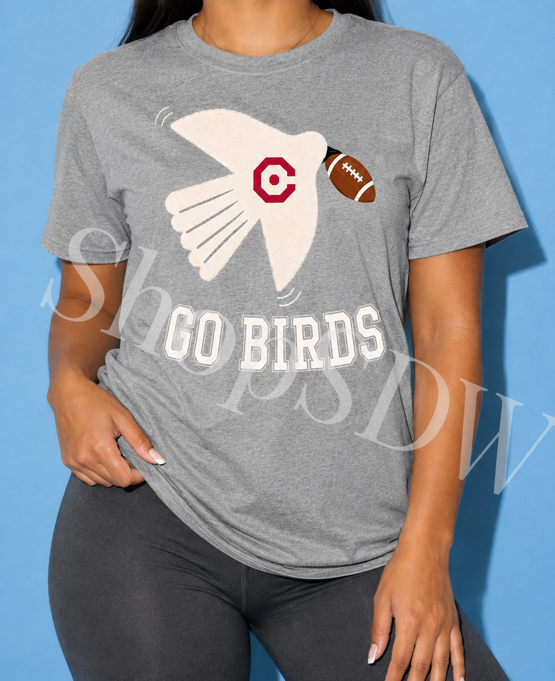 Bird & Football Go Birds Tee — Grey